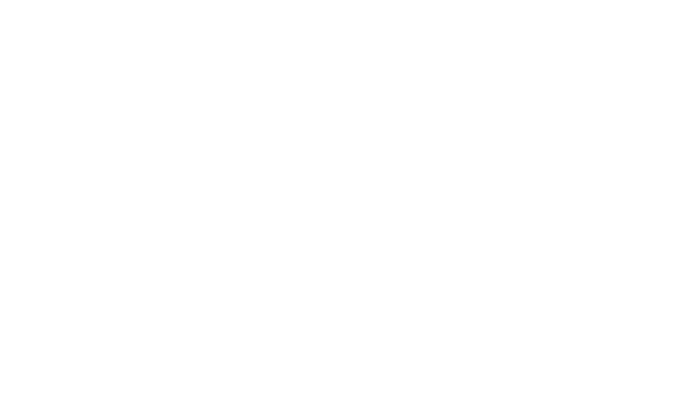 Elite CT Valet